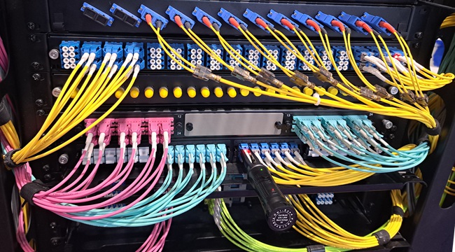 Cat6 vs Cat6A vs fibra óptica: cuál elegir para su red